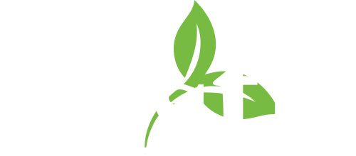 JustK Vitality